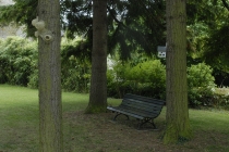 Exhibition: Commissariat pour un arbre. Curator: Mathieu Mercier. Quinzaine Radieuse #06. Piacé-le-Radieux. 2014