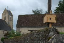 Exhibition: Commissariat pour un arbre. Curator: Mathieu Mercier. Quinzaine Radieuse #06. Piacé-le-Radieux. 2014