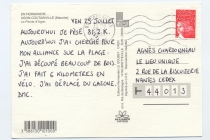 DMC Light, 2003. C-type photographie, Néon, Postcards. Production: Le Lieu Unique, Nantes / Coca-Cola Light. © David Michael Clarke ADAGP