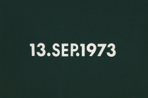 DMC Marriages, 1969-1999, England & Wales [after On Kawara]. 53 date paintings & 53 marriage certificates (duplicata). Acrylic on canvas. 31cm x 22,5cm. 2001