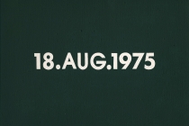 DMC Marriages, 1969-1999, England & Wales [after On Kawara]. 53 date paintings & 53 marriage certificates (duplicata). Acrylic on canvas. 31cm x 22,5cm. 2001