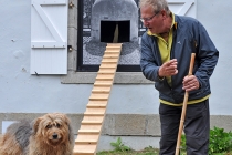 Dog's Entrance, 2014. Niche (La Ricarda), 2007, affiche de Michel François, adaptée par David Michael Clarke par l’ajout de deux rampes et d’un percement prévus pour la circulation des chiens. 2014. Vue de l'exposition: Flying Black Cow Utopia Club. Galérie du Dourven. Trédez-Locquémeau. 2014. Photo: Hervé Beurel. © David Michael Clarke ADAGP.