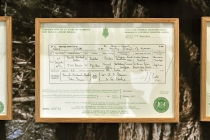 Hervé Beurel: Carré central. Tirage numérique sur papier peint, 2014. Accroché dessus: DMC Mariages, 1969-1999, Angleterre/Pays de Galles, 53 peintures acryliques sur toiles et 53 certificats de mariage encadrés,1999. Vue de l'exposition: Flying Black Cow Utopia Club. Galérie du Dourven. Trédez-Locquémeau. 2014. Photo: Hervé Beurel.