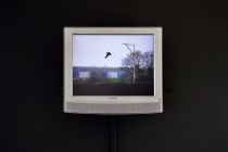 David Michael Clarke, Flying Black cow - l’origine, vidéo instantanée 4/3, sonore, 2012. Vue de l'exposition: Flying Black Cow Utopia Club. Galérie du Dourven. Trédez-Locquémeau. 2014. Photo: Hervé Beurel.