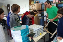 Enseigner & apprendre. Réalisation des sculptures à partir des balles de golf récupérées. Dans le cadre d'une résidence artistique organisé par le Frac Normandie Caen au Collège Sainte Thérèse à Saint-Pierre-en-Auge. 2017.