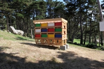 David Michael Clarke. Unité d'Habitation pour 24 lapins. Flying Black Cow Utopia Club. Galerie du Dourven. 2014. Photo : Hervé Beurel.