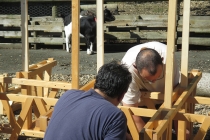 L'installation de l'unité d'Habitation pour 24 Lapins dans la ferme pédagogique de l'école Pierre & Maire Curie. Mayenne. 2015.