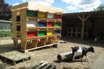 L'installation de l'unité d'Habitation pour 24 Lapins dans la ferme pédagogique de l'école Pierre & Maire Curie. Mayenne. 2015.