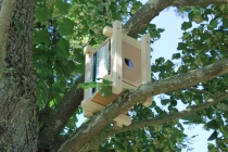David Michael Clarke. Nestbox for a woodpecker. Exhibition: Commissariat pour un arbre. Curator: Mathieu Mercier. Quinzaine Radieuse #06. Piacé-le-Radieux. 2014